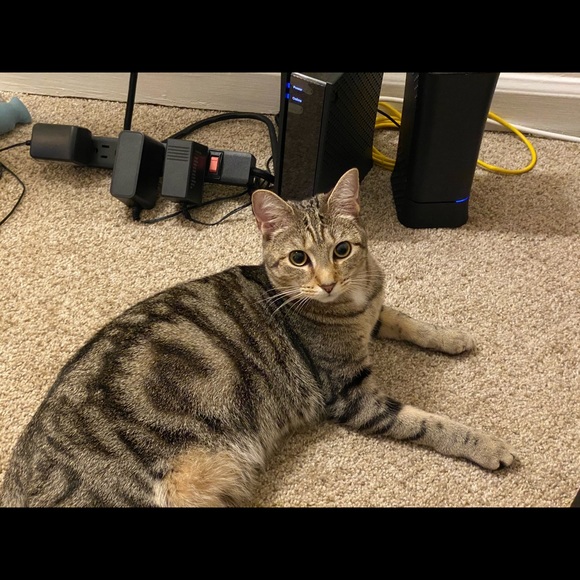 Profile Picture of Yousef Aqleh (@yousef_aqleh) on Poshmark