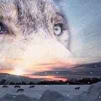 Profile Picture of Timea Farkas (@timea-farkas-7) on Quora