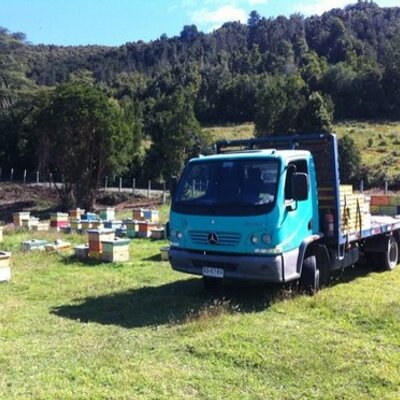 Profile Picture of Luis Fuenzalida (@luisfuenzalida8) on Twitter