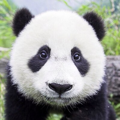 Profile Picture of Jessica Cudd (@jessie349120) on Twitter