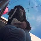 Profile Picture of   Fatima Alexa Ortiz... (@fatimaalexaortizp) on Tiktok