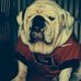 Profile Picture of Brian Gregory (@brian.gregory.5855) on Facebook