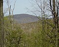 Profile Picture of Schaefer Head - Wikipediaon Wikipedia