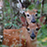 Profile Picture of murdock.raymond (@murdock.raymond) on Flickr