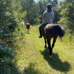 Profile Picture of Robert Carmany (@robert.carmany) on Instagram