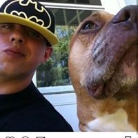 Profile Picture of Josh Faria (@josh-faria-2) on Quora