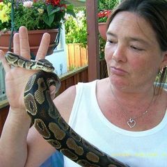 Profile Picture of Sherry Matlock (@sherry.matlock2) on Tiktok