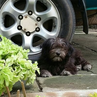 Profile Picture of Prospin (@peter_antolin) on Twitter