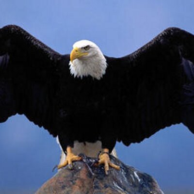 Profile Picture of Isaac Prescott (@ilp1966) on Twitter