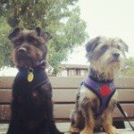 Arrizubieta - Instagram Profile Picture of Arrizubieta (@undrywhiskin3) on Instagram