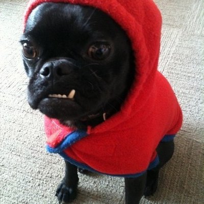 Profile Picture of Hoey Kyle (@HoeyKyle1) on Twitter