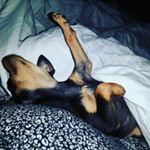 Profile Picture of Tim Reznick (@timreznick) on Instagram