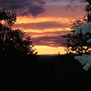 Profile Picture of Bill Stankiewicz (@bill_56) on Myspace