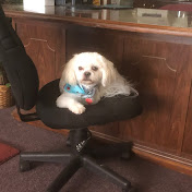 Profile Picture of Dillon Kim (@dillonkim1568) on Youtube