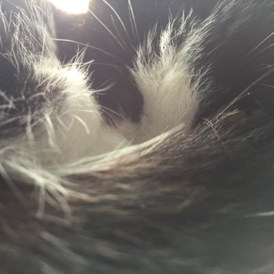 Profile Picture of Paula Hewitt (@PaulaHe77461707) on Twitter