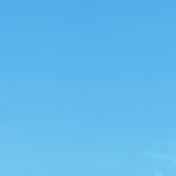 Profile Picture of Dominique Kellam (@s0s0u1fu1) on Youtube