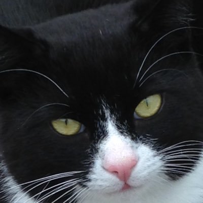 Profile Picture of Dawn Woolley (@DawnWoolley27) on Twitter