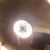 Profile Picture of Robert Crumley (@dan.zimmerman.3538) on Facebook