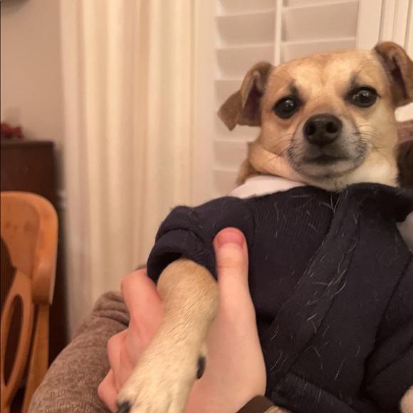 Giovanna Mancuso - Poshmark Profile Picture of Giovanna Mancuso (@gmancuso02) on Poshmark