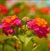 Profile Picture of Appu Appu (@Appu-Appu) on Facebook