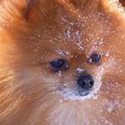 Profile Picture of Hailee Keefer (@HannahRock617) on Twitter