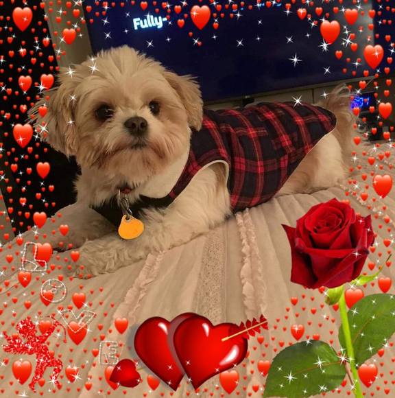 Profile Picture of Sol Rodriguez (@marisolparral15) on Poshmark