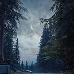 Profile Picture of _.runningwolf._ (@_.runningwolf._) on Instagram