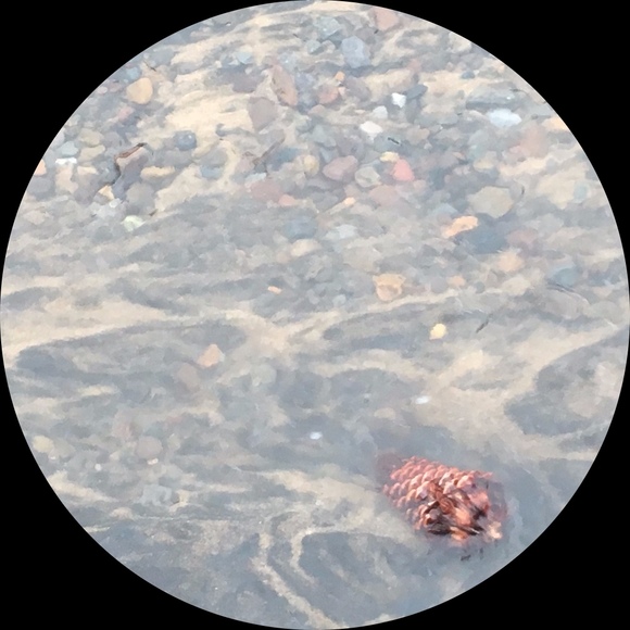 Profile Picture of Abby Lauver (@bughuntersrus) on Poshmark