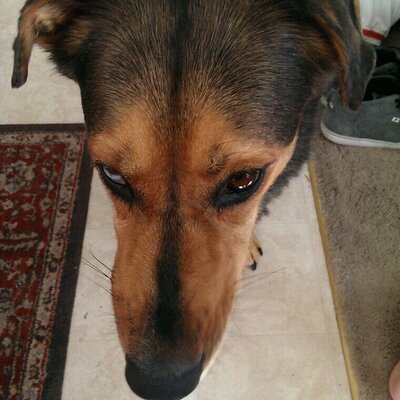 Profile Picture of Craig Patton (@patton_47) on Twitter