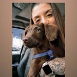 Profile Picture of Lorena Navarro (@lorenaanavarro) on Instagram