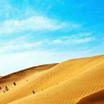 Profile Picture of عدلي ذكي (@adly.zaki) on Instagram