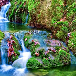 Profile Picture of Mary DeVault (@mary.devault.10) on Facebook