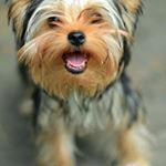 Profile Picture of norah weaver (@weaver.norah) on Instagram