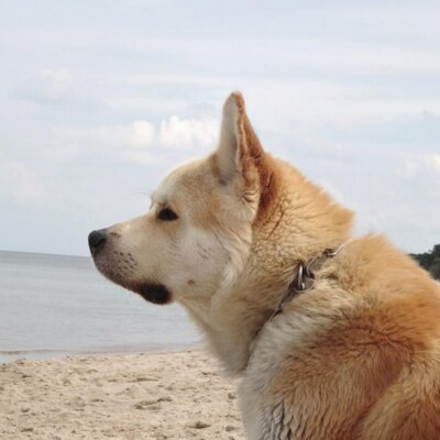 Profile Picture of Richard Steiger (@x3yoloswag) on Twitter