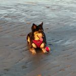 Profile Picture of Sylvia Witt (@witt2209) on Instagram