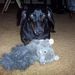 Profile Picture of Jill Tucker Hennes (@framercpf) on Pinterest