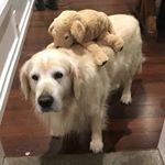 Profile Picture of Justin (@justin_wimmer) on Instagram