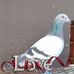 Profile Picture of Guillermo Pico (@guillermo.pico.58) on Facebook