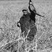 Profile Picture of Steve Mcrae (@smcrae1061) on Pinterest
