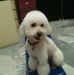 Profile Picture of Alfred Foo (@alfred.foo1) on Facebook