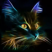 Profile Picture of Yvette Van Ophem (@Ophem75) on Youtube