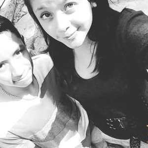 Profile Picture of Alexander Licea (@alexander_licea) on Twitter