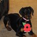 Profile Picture of Donna Stott (@donna.stott.54) on Facebook