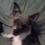 Profile Picture of Aaron Hutchings (@charles_hutchings) on Instagram