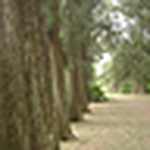 Profile Picture of Nancy Cylta (@Lo esencial es invisible a los ojos...) on Flickr