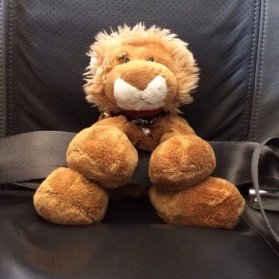 Profile Picture of Baron Von Löwi Im Exil  😺 (@VonLowi) on Twitter