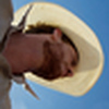 Profile Picture of Sam  Quinlan (@s.m.quinlan) on Flickr