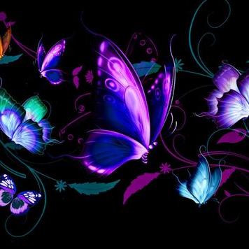 Profile Picture of Alex Saa (@alexsaa88) on Twitter