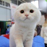 Profile Picture of Bernard (@bernardhines014) on Instagram