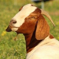 Profile Picture of Sara Davis (@sara-davis-122) on Quora